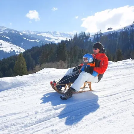 Appartement Kitzbueheler Alpenlodge Bergblick Mittersill