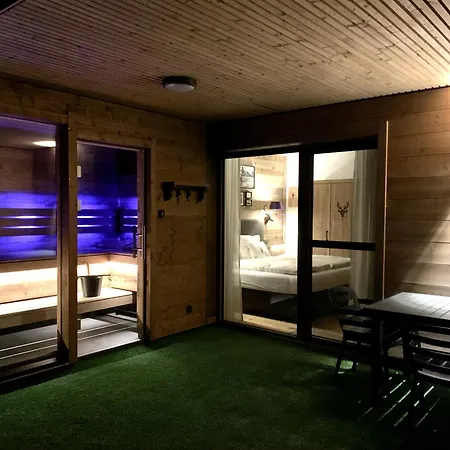 Kitzbueheler Alpenlodge Bergblick Apartment Mittersill