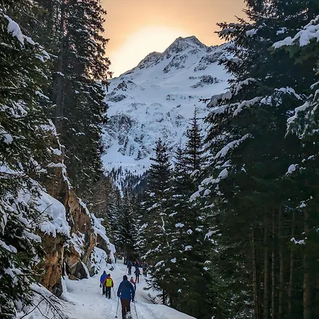 Kitzbueheler Alpenlodge Bergblick Appartement Mittersill