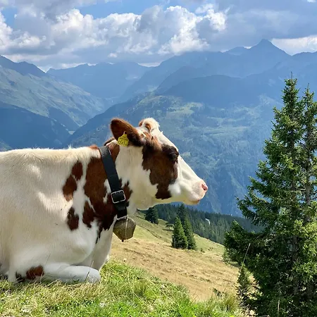 Apartamento Kitzbueheler Alpenlodge Bergblick
